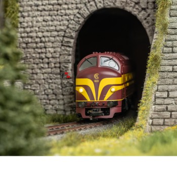 (Neu) Märklin 39631 Dieselok Serie 1600 der CFL, Ep.III,