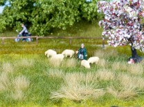 (Neu) Noch 07402 Wiese, Frühling und Natur,
